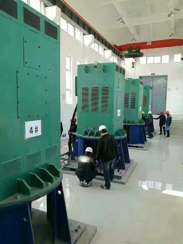 杞县某污水处理厂使用我厂的立式高压电机安装现场