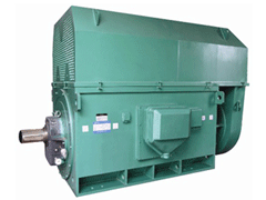 杞县Y系列6KV高压电机品质保证